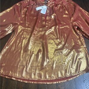 Anthropologie Metallic Blouse XXS